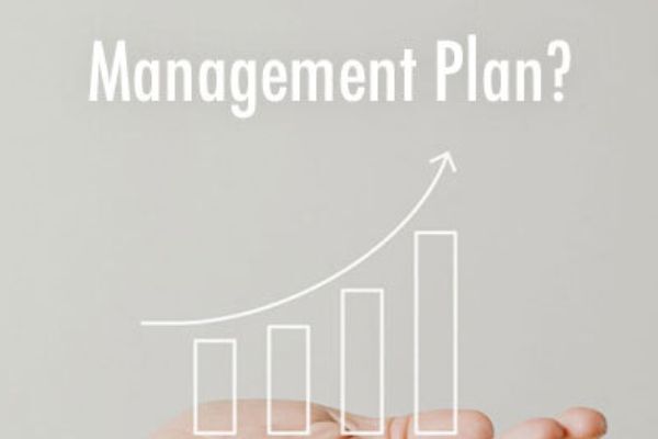 「中期経営計画」の英訳って「Mid-Term Management Plan」でいいの?