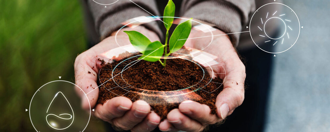 企業の「環境活動」の英訳は?